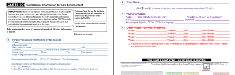 How the Domestic Violence Restraining Order (DVRO) Court Forms are ...